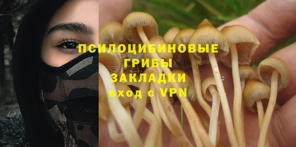 молекула духа Абинск