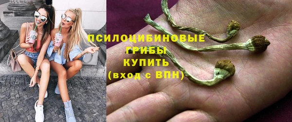 героин Алексин