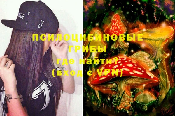 молекула духа Абинск